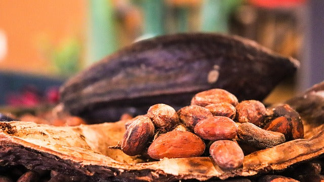 Descubre los Beneficios del Cacao Puro para tu Cafetería