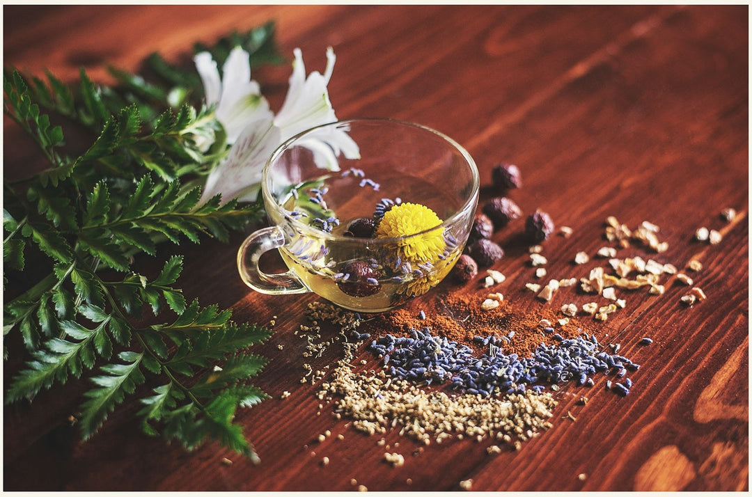 4 Beneficios de la Tisana Frutal: Un Abrazo de Sabor y Salud
