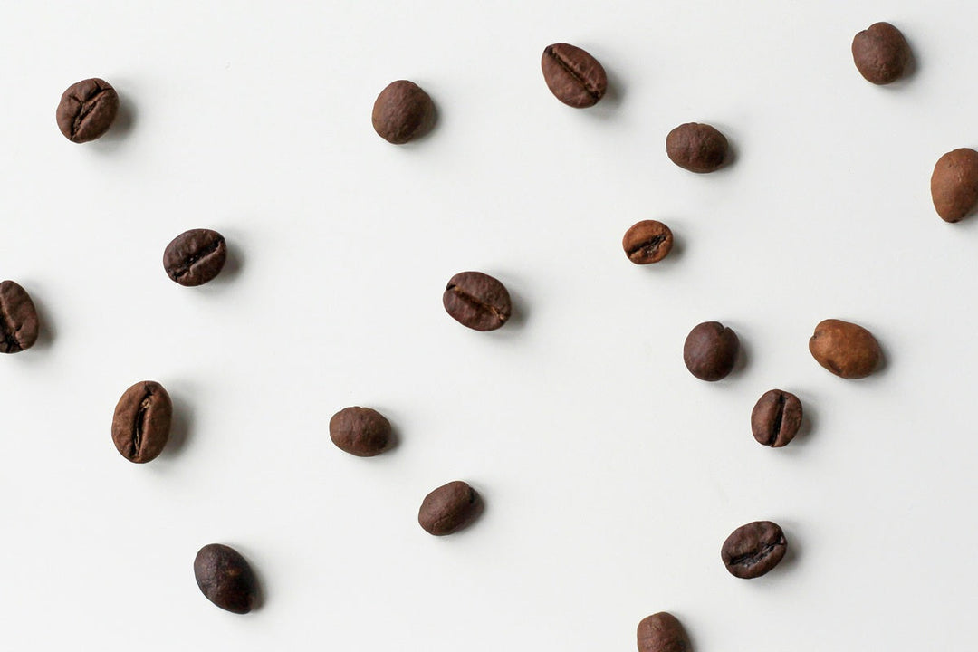 Los 5 mejores insumos para cafetería que no te pueden faltar